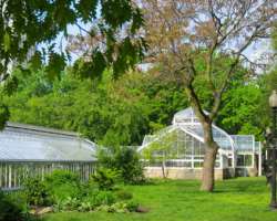 You can find trees of black cherry, sugar maple, sassafras, American beech, and red oak.